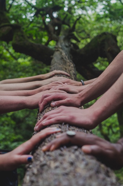 Verschiedene Hände an einem Baumstamm